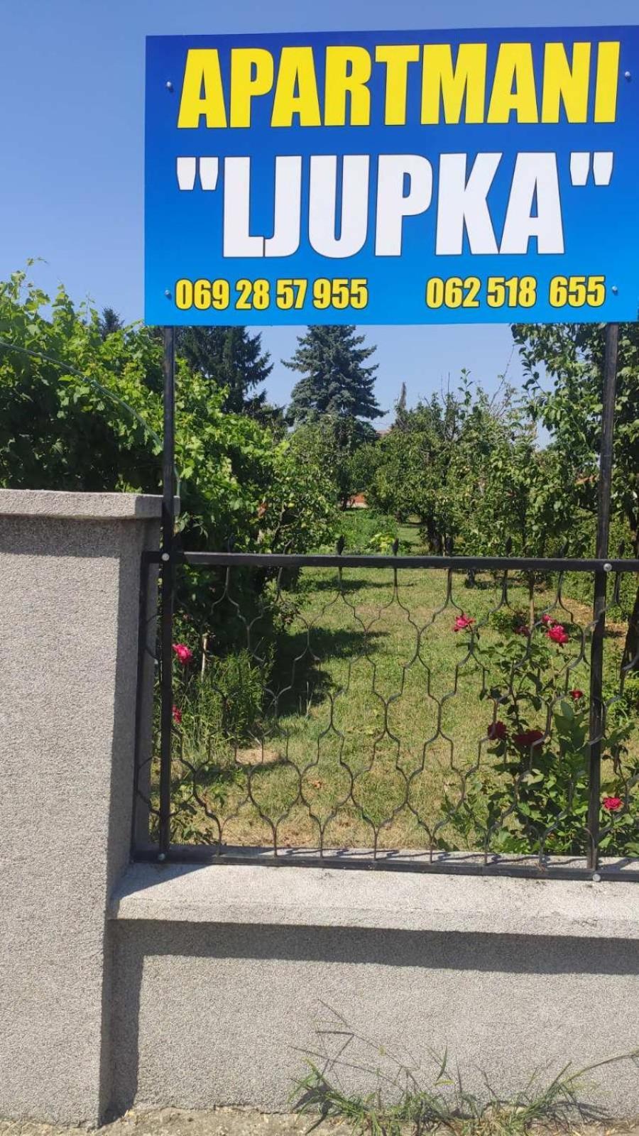 Apartment Ljupka Pančevo Exterior foto