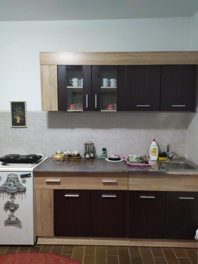 Apartment Ljupka Pančevo Exterior foto